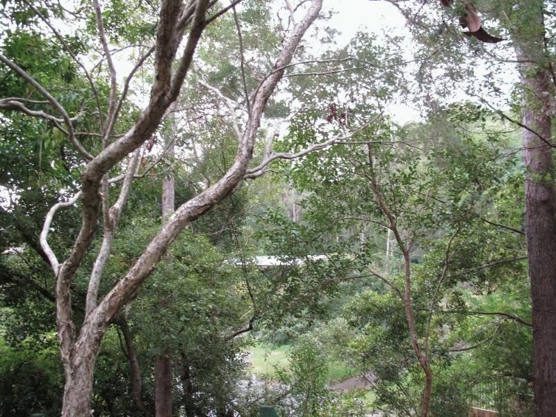37 Eppalong Street, The Gap QLD 4061