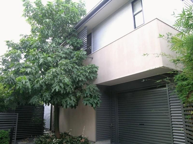 8/10 Christensen Street, Yeronga QLD 4104
