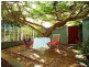Ashgrove QLD 4060