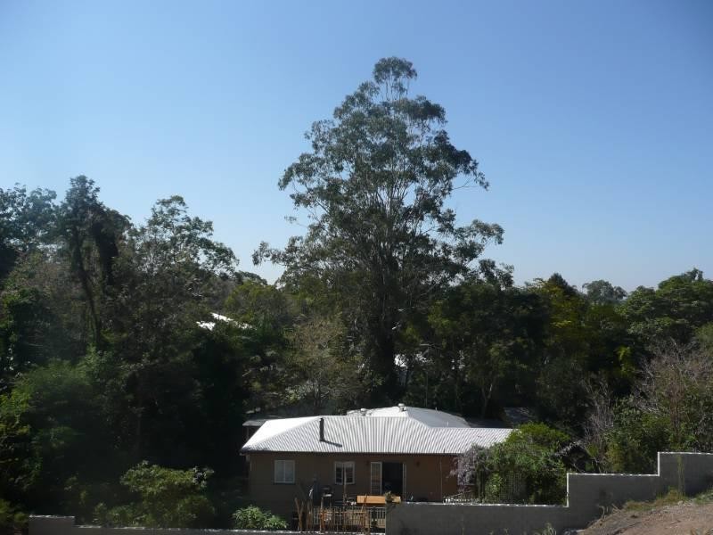 Lot 98/136 Outlook Crescent, Bardon QLD 4065