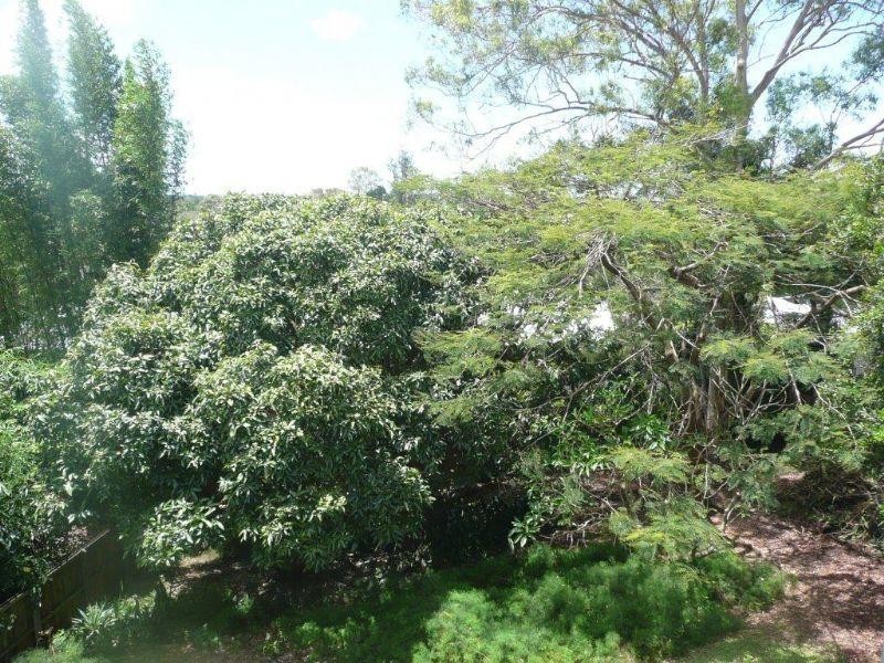 55 Coopers Camp Road, Bardon QLD 4065