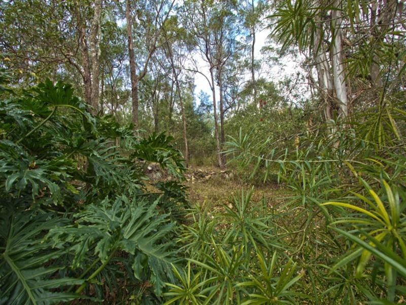 17 Bellata Street, The Gap QLD 4061