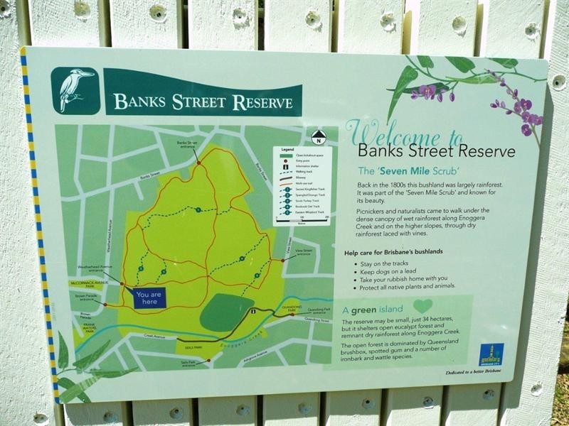 17 Gavan Street, Ashgrove QLD 4060