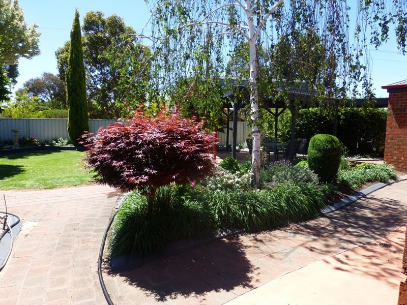 48 Lawson Drive, Moama NSW 2731