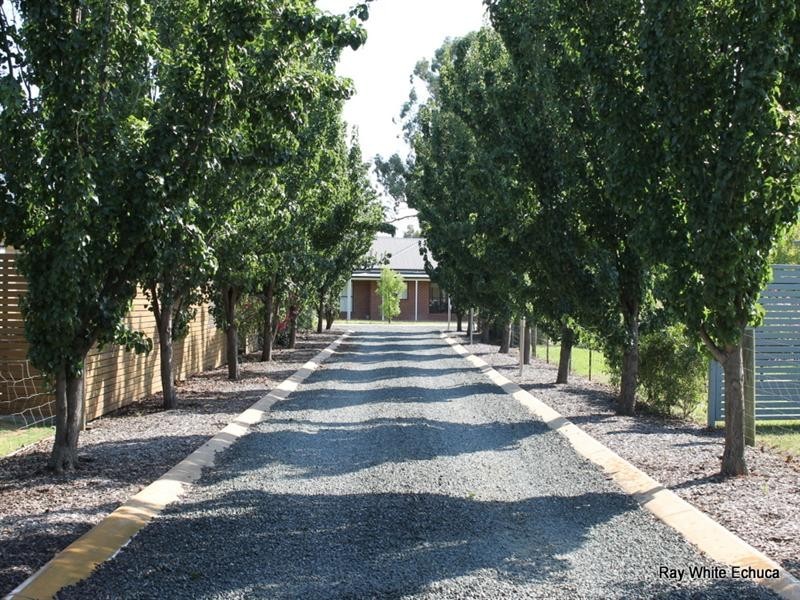 96 Rivergums Drive, Moama NSW 2731