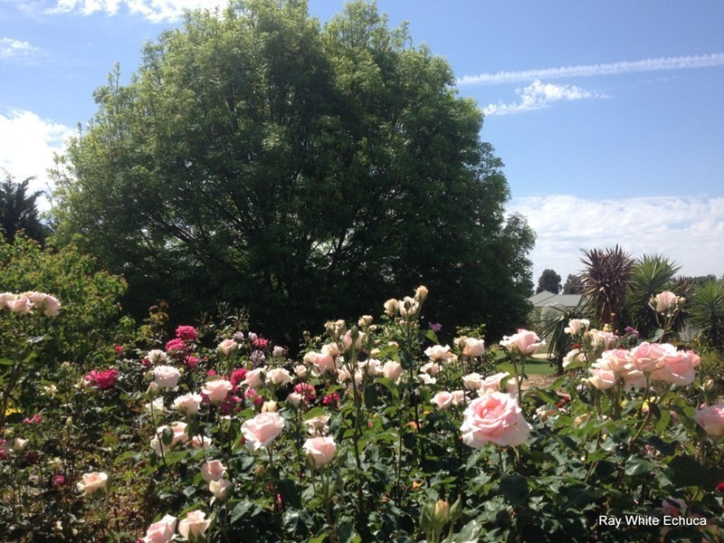 10 Schoeffel Drive, Echuca VIC 3564