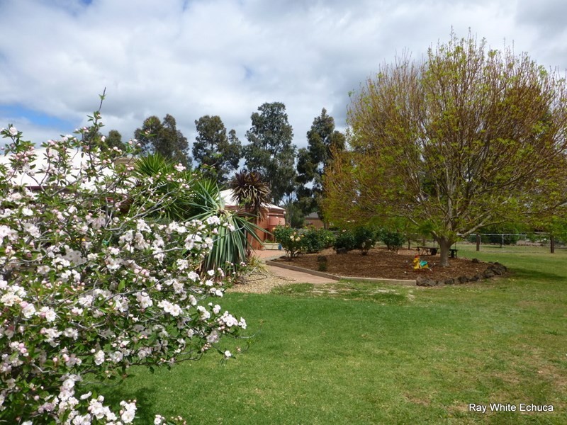 10 Schoeffel Drive, Echuca VIC 3564
