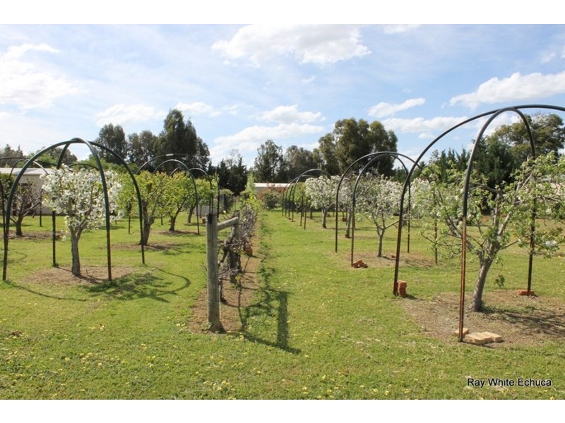 10 Schoeffel Drive, Echuca VIC 3564