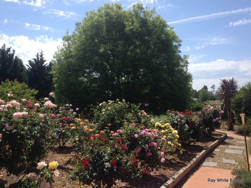 10 Schoeffel Drive, Echuca VIC 3564