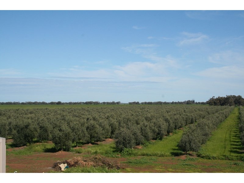 231 Farley Road, Echuca VIC 3564