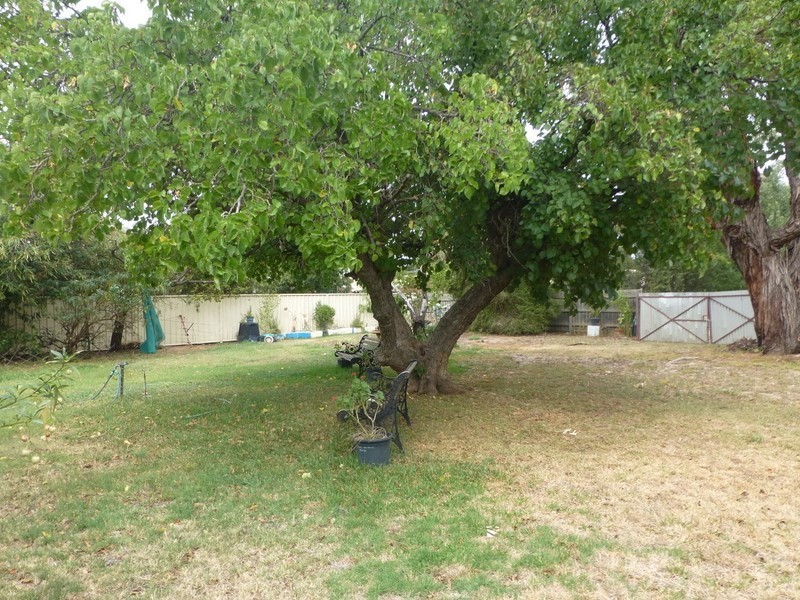 25 Maiden Street, Moama NSW 2731