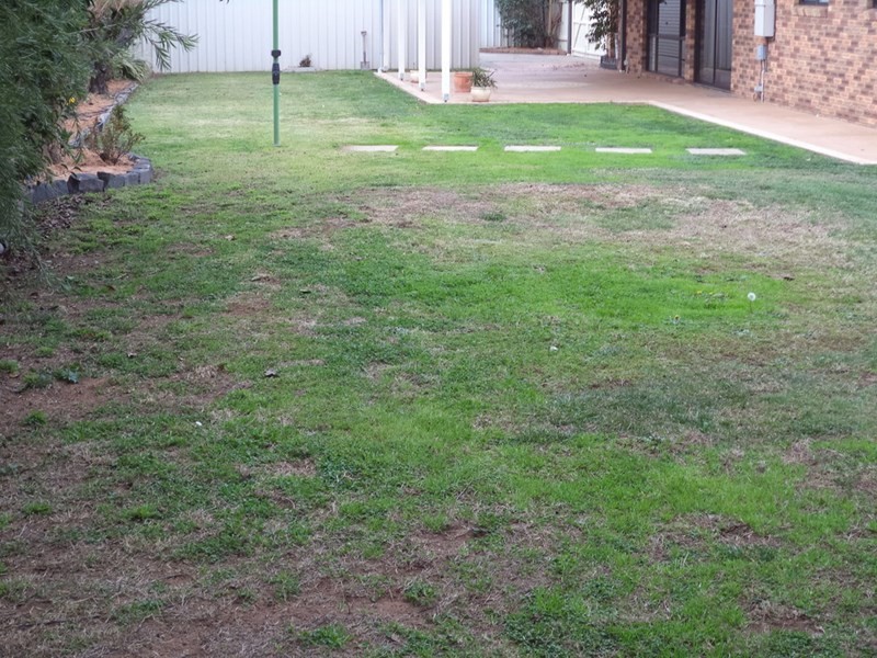 9 Kulgoa Avenue, Moama NSW 2731
