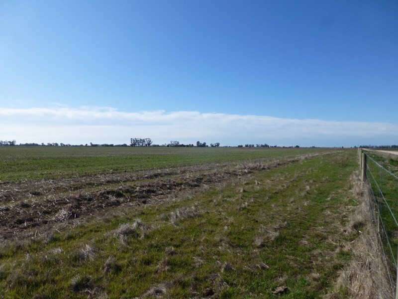 Lot 4 McKenzie Road Cnr Rowe Road, Echuca VIC 3564