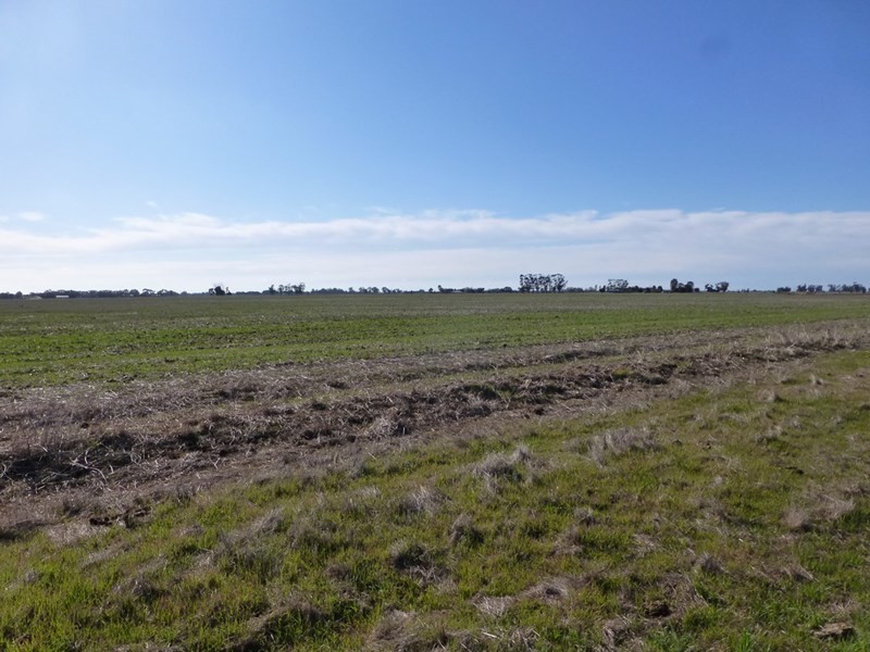 Lot 4 McKenzie Road Cnr Rowe Road, Echuca VIC 3564