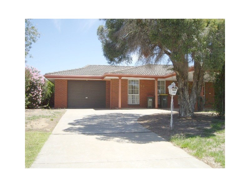 12 Lawson Drive, Moama NSW 2731