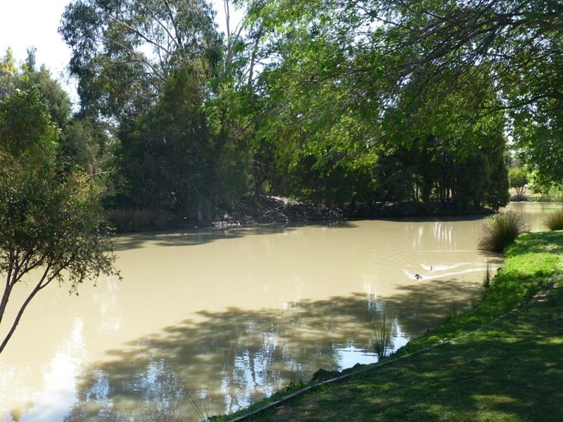 8 Kingfisher Drive East, Moama NSW 2731