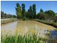 113 Hicks Road, Echuca VIC 3564