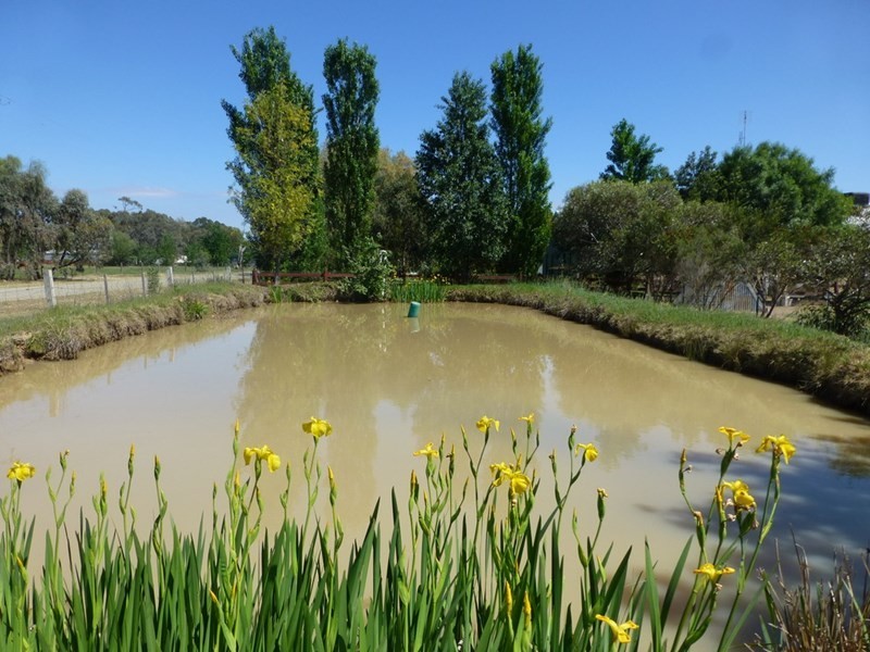 113 Hicks Road, Echuca VIC 3564