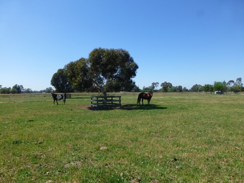 113 Hicks Road, Echuca VIC 3564