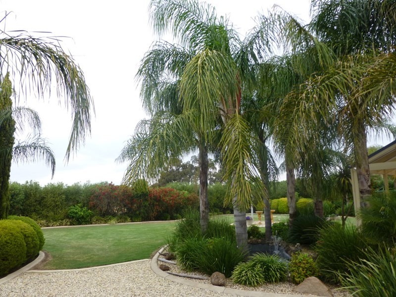 5 Winbi Lane, Moama NSW 2731