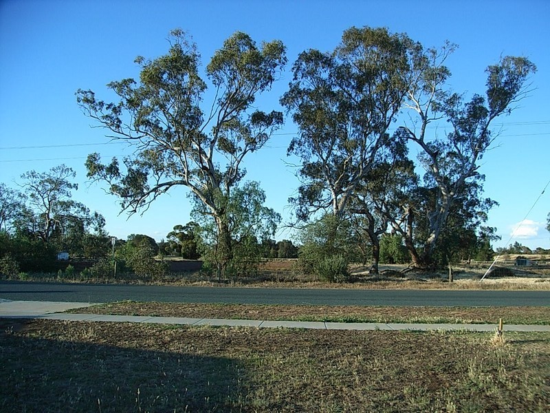 33 Diggora Road, Rochester VIC 3561