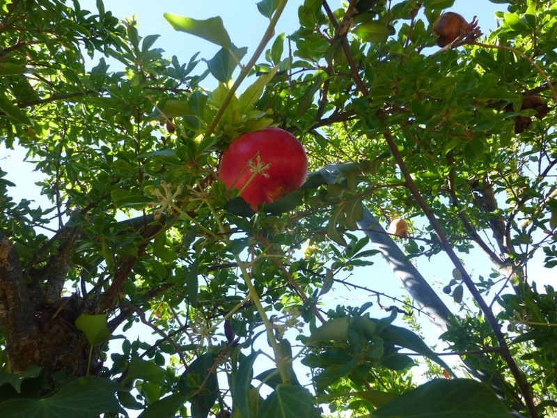 20 Darling Street, Echuca VIC 3564