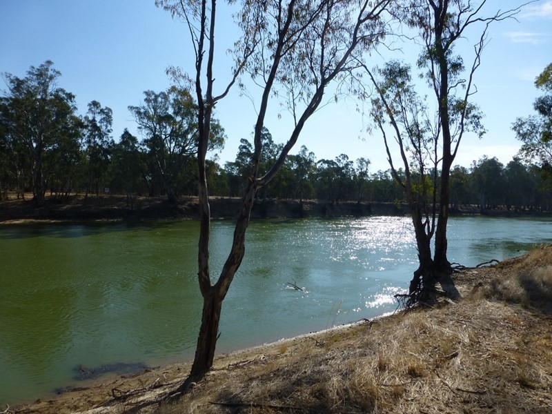 6 Swan Court, Barmah VIC 3639