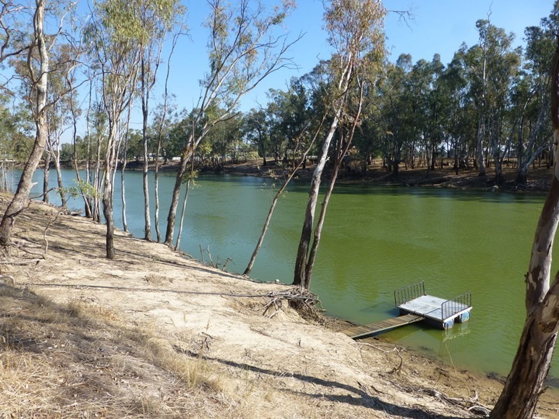 6 Swan Court, Barmah VIC 3639