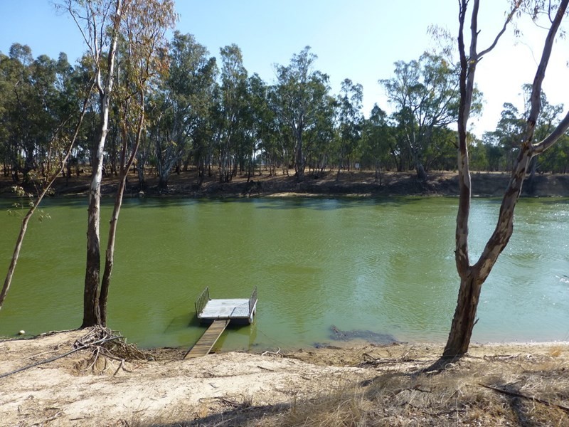 6 Swan Court, Barmah VIC 3639