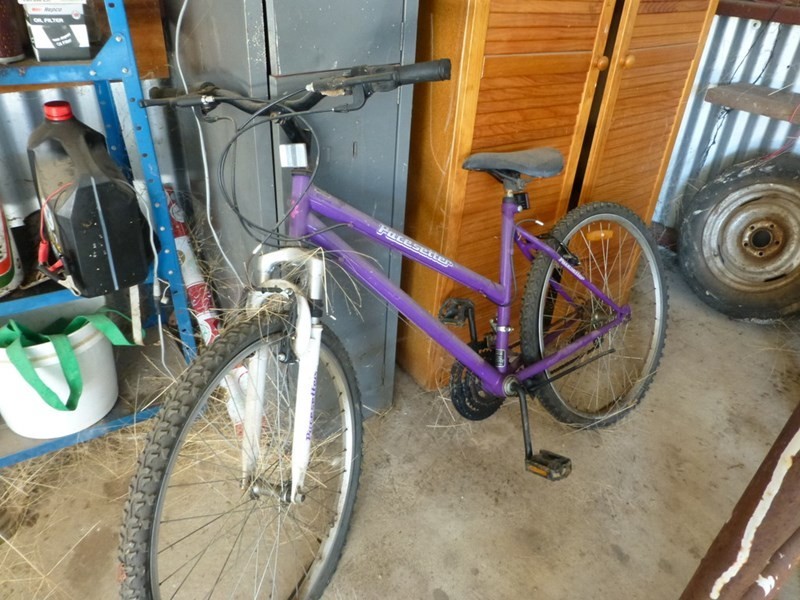 6 Swan Court, Barmah VIC 3639