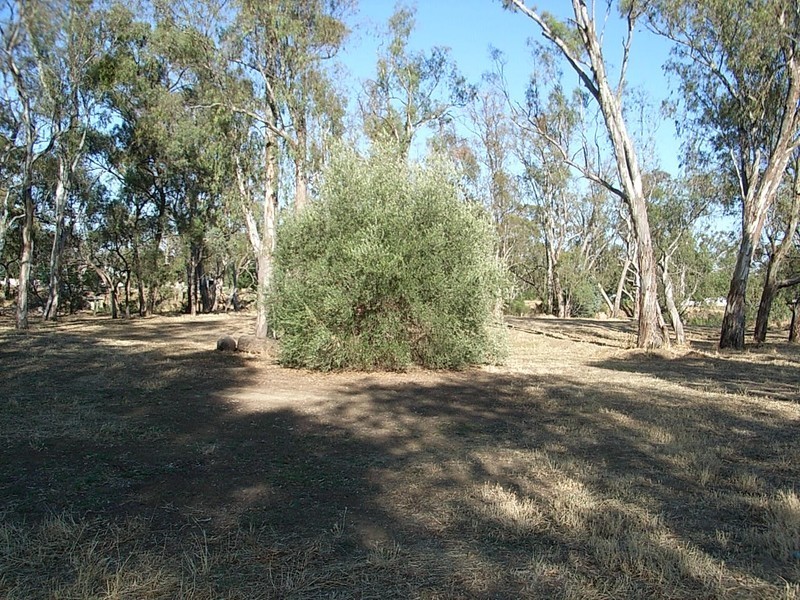 286 Anstruther Street, Echuca VIC 3564