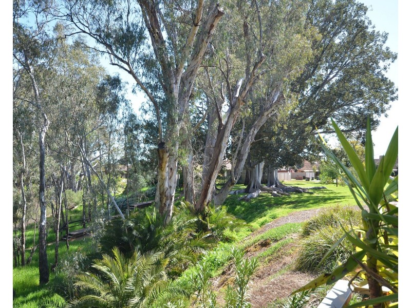 4/6 Berry Street, Moama NSW 2731