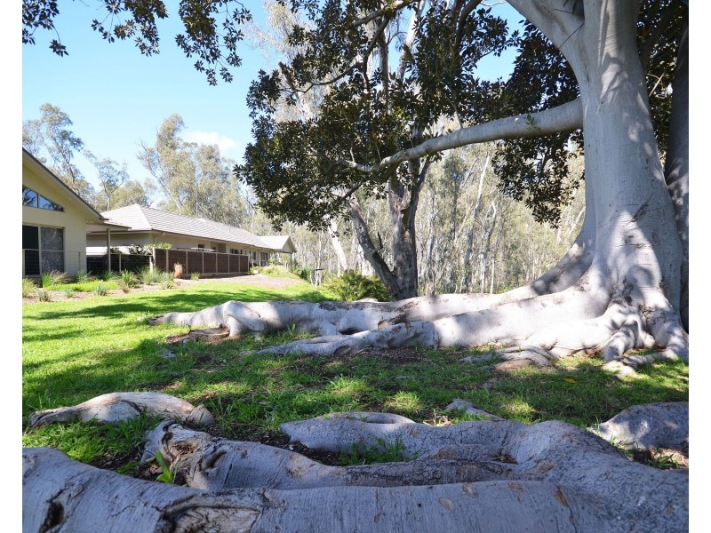 4/6 Berry Street, Moama NSW 2731