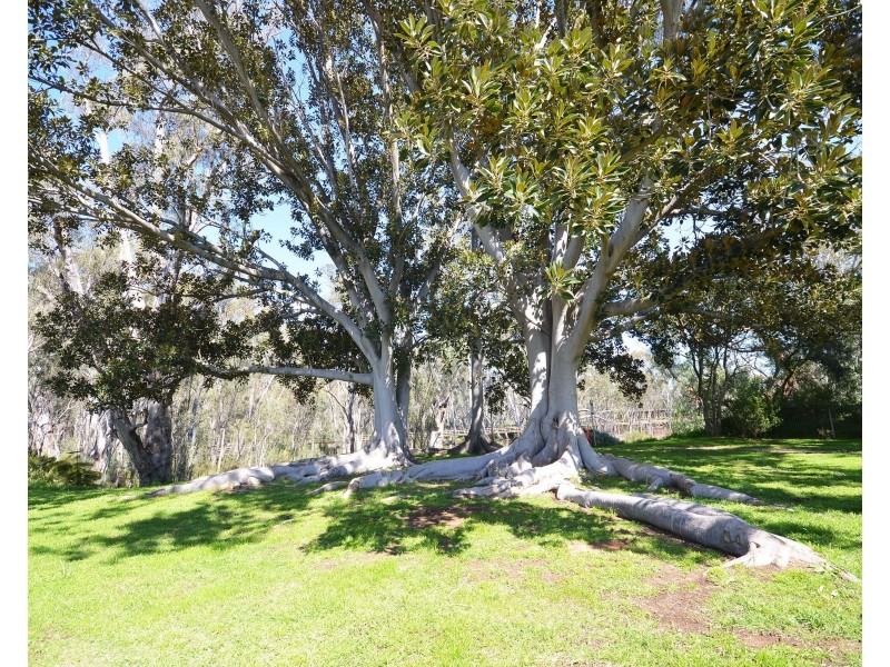 4/6 Berry Street, Moama NSW 2731