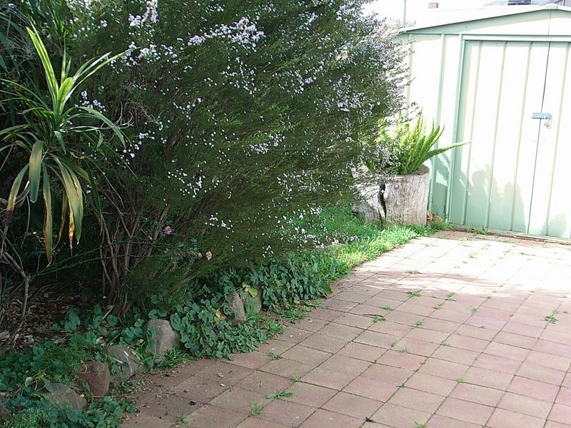 1/36 Hare Street, Echuca VIC 3564