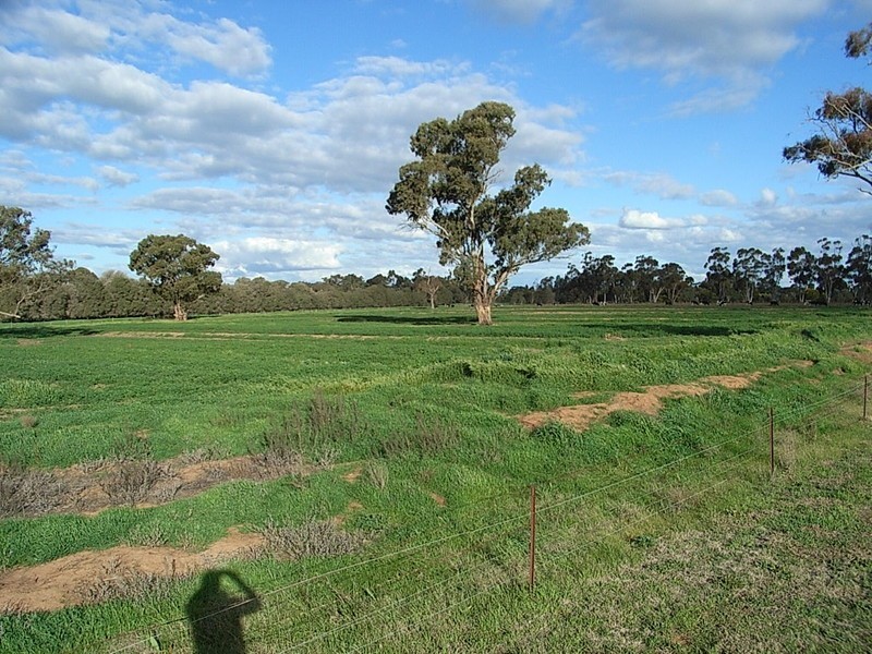 2490 Lockington-Kotta Rd, “Burleigh”, Lockington VIC 3563