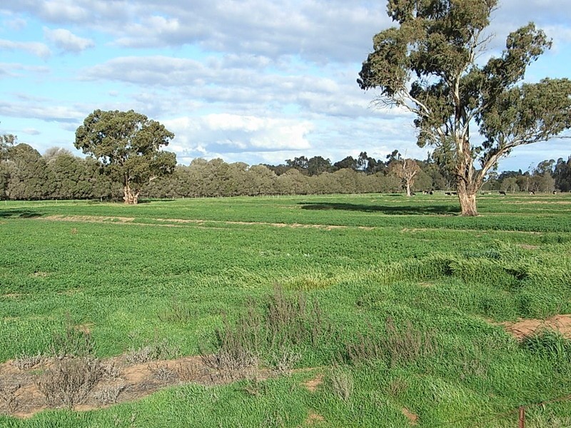 2490 Lockington-Kotta Rd, “Burleigh”, Lockington VIC 3563