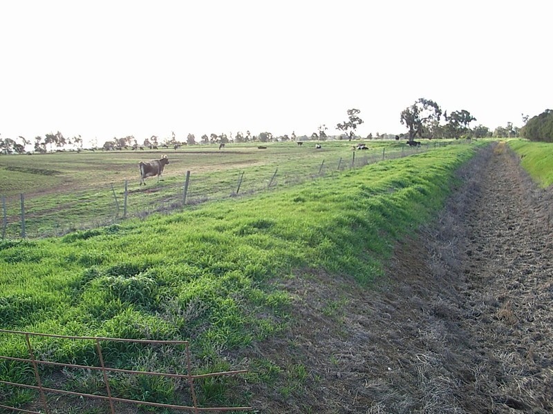 2490 Lockington-Kotta Rd, “Burleigh”, Lockington VIC 3563