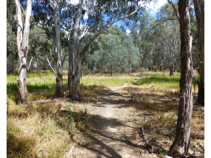 Lot 5 Winbi Avenue, Moama NSW 2731