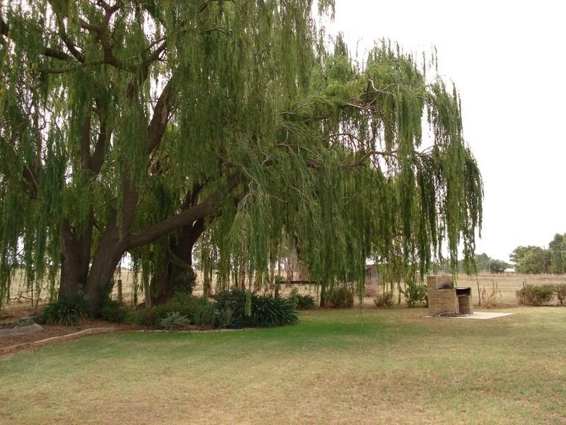 7 Johnson Road, Lockington VIC 3563