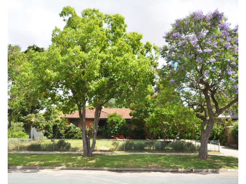 38 Blair Street, Moama NSW 2731