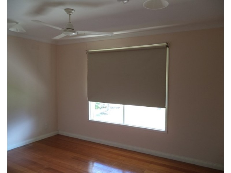 11b Francis Street, Moama NSW 2731