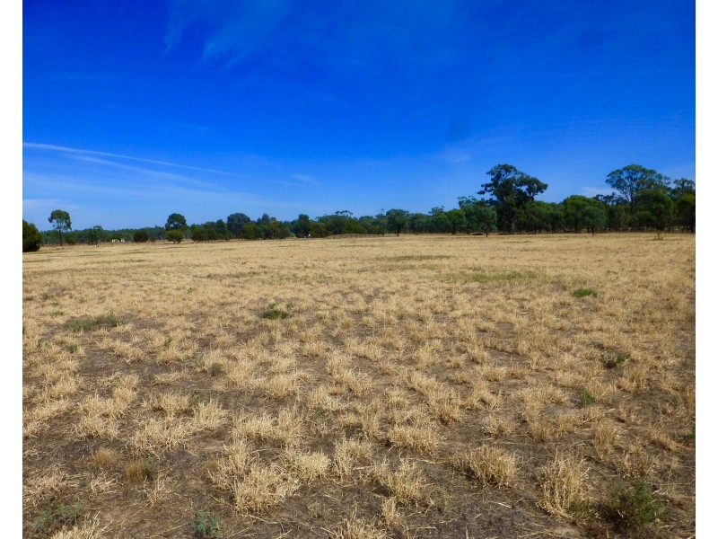 1250 Picola Barmah Road, Barmah VIC 3639