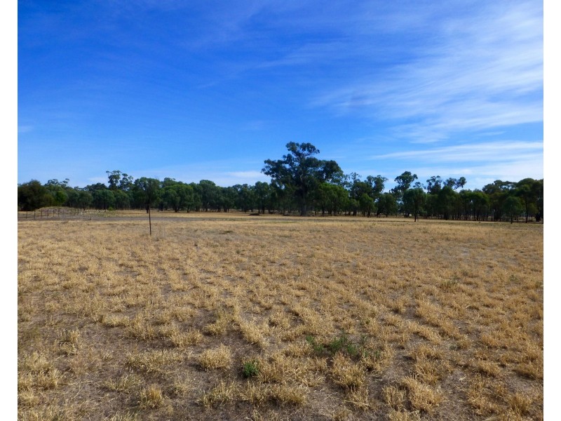 1250 Picola Barmah Road, Barmah VIC 3639