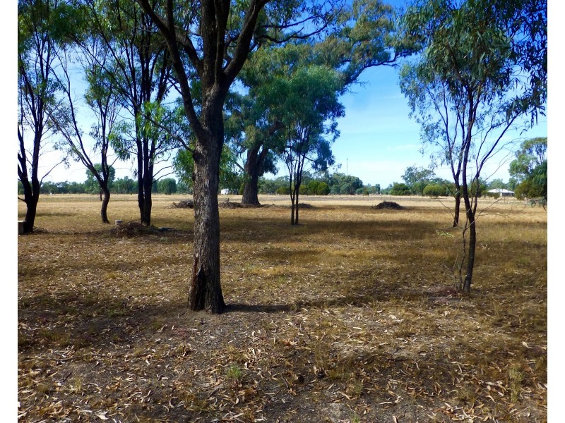 1250 Picola Barmah Road, Barmah VIC 3639