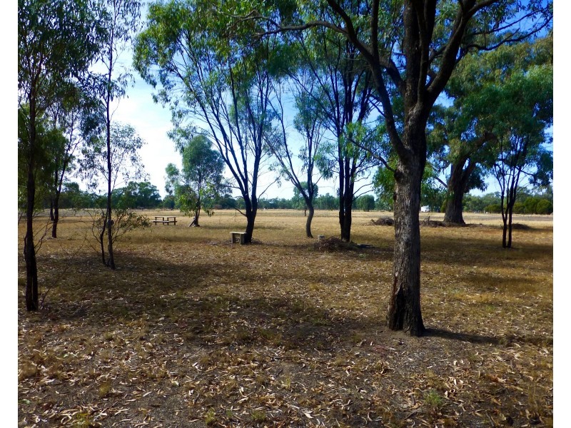 1250 Picola Barmah Road, Barmah VIC 3639