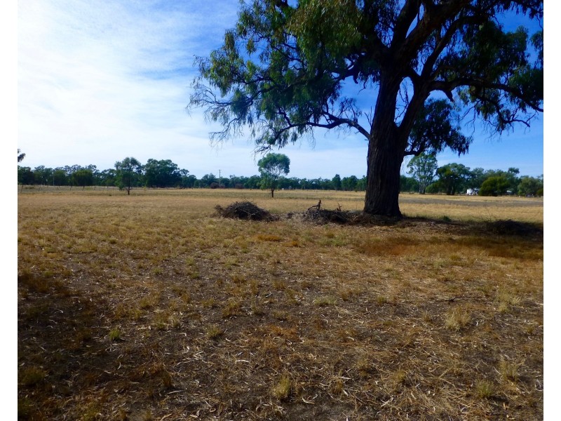 1250 Picola Barmah Road, Barmah VIC 3639