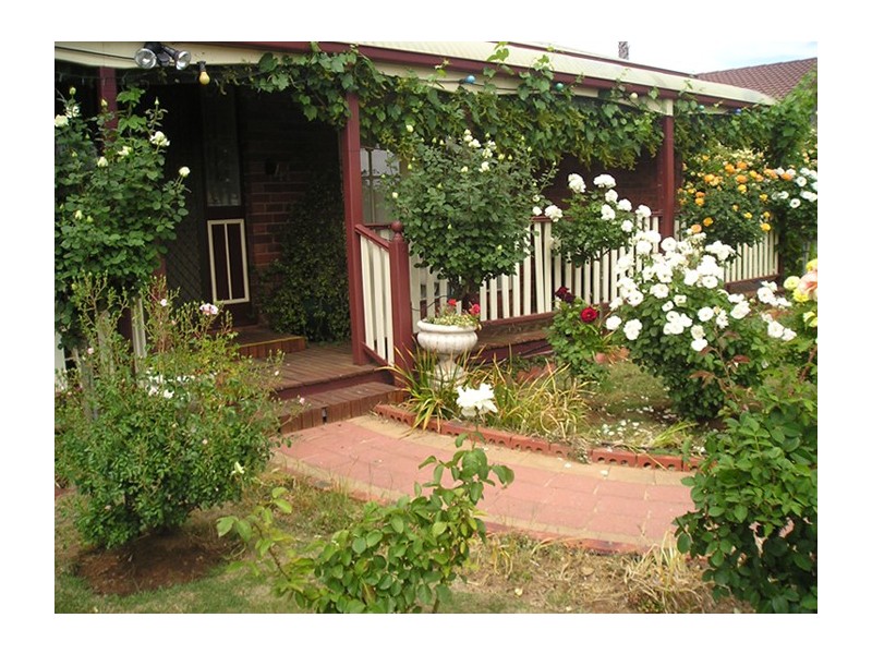 41 Lawson Drive, Moama NSW 2731