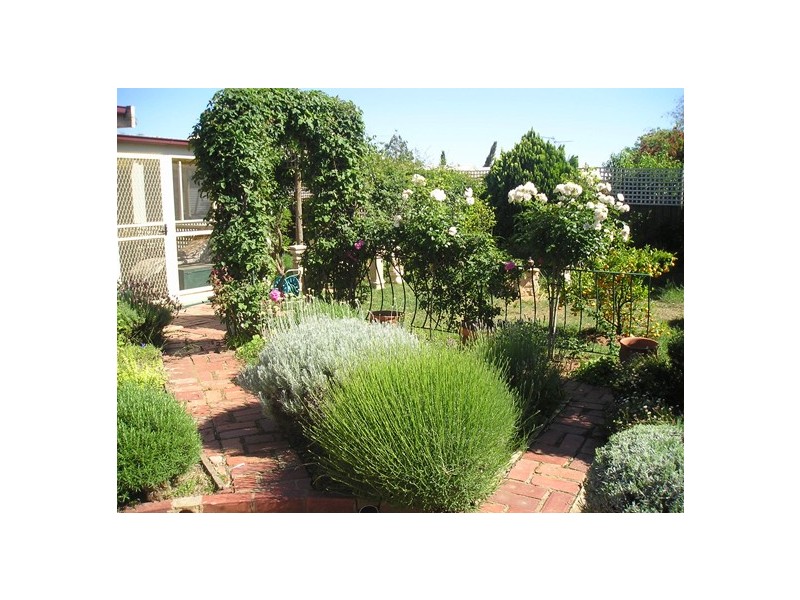 41 Lawson Drive, Moama NSW 2731