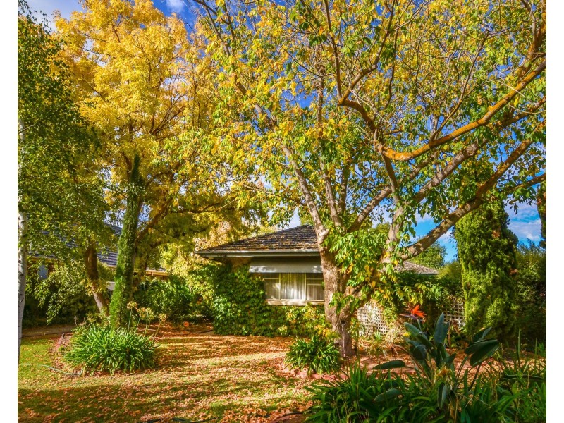 54 Hopwood Street, Echuca VIC 3564